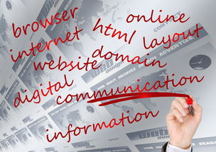 乐鱼体育在线入口-校园体育赛事品牌建设路径与传播策略研究,校园体育竞赛体系