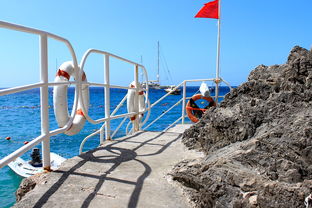 乐鱼app-海湾者未来青训体系逐渐完善，海湾技术