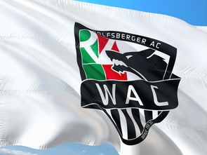 乐鱼app下载-中国足球比赛中球员语言沟通与默契形成过程，足球运动员语言